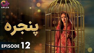 Pakistani Drama  Pinjra  Episode 12  Aplus Gold  Yumna Zaidi Nauman Aijaz  CZ1O [upl. by Ellevehs29]