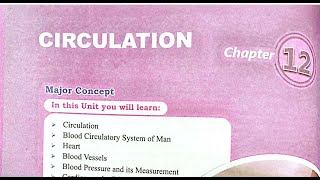 Circulation part 3 of 4 [upl. by Nelad]