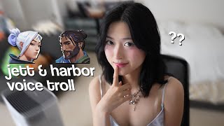 jett voice trolling with the harbor voice actor [upl. by Egrog]