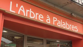 Ribérac  mobilisation pour sauver une librairie [upl. by Powers862]