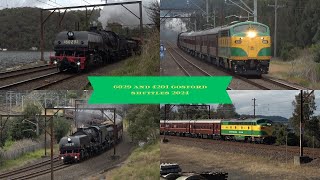 6029 and 4201 gosford shuttles 2024 [upl. by Diao822]