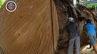 Overwhelmed Woodworker Cuts Incredible Hardwood  Sawmill [upl. by Gnof173]