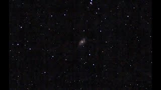 Live observation of NGC5248 Spiral Galaxy Caldwell 45 with a Stellina smart telescope 862024 [upl. by Lekar]