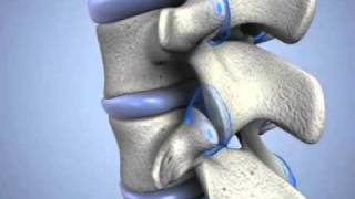 Learn about Cervical Facet Joints [upl. by Ethbin]