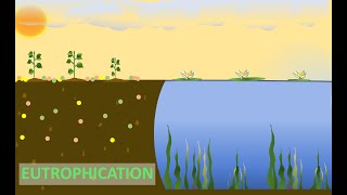 EUTROPHICATION AND BIOLOGICAL OXYGEN DEMAND BOD  SCIENCE PPT [upl. by Onnem615]