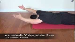 Prone Scapula Upward Rotation [upl. by Acinimod]