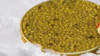 Markys  Karat Caviar Farm process and quality Caviar Osetra and Caviar Kits [upl. by Nere155]