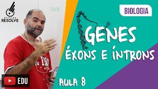 Éxons e Íntrons  Gene Ação diferencial do gene na formação do RNA [upl. by Basso]