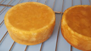 The Best Vanilla Cake Recipe [upl. by Ailelc469]