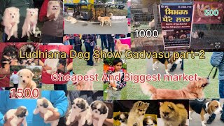 Ludhiana Dog show Gadvasu part2 biggest and cheapest Dog market [upl. by Aekan]