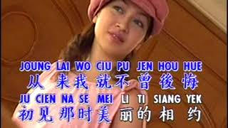 Ai Shang Yi Ge Bu Hui Jia De Ren  爱上一个不回家的人   AI SANG I KE PU HUE CIA TI REN karaoke no vocal [upl. by Ramaj]