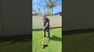 The Whipper Snipper Dude Stop Motion Animation foryou stihl brushcutter stopmotion aphextwin [upl. by Emile]