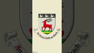 The Arms of Mr Eugene McCarthy of Co Limerick Ireland Heraldic Symbolism  2 [upl. by Rapsag27]