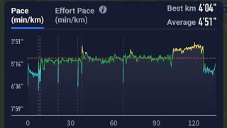 Final long run before Bucharest  calf is ok for now [upl. by Atinuaj]