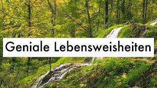 Geniale Lebensweisheiten  Witzige Zitate amp Weisheiten des Lebens [upl. by Aerda]