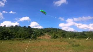 25m Dual Line Parafoil Kite  Power Kite for Beginner [upl. by Studley]