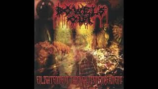 Bowels Out  Enlightenment Through Dismemberment Full Album  2005 [upl. by Hufnagel839]