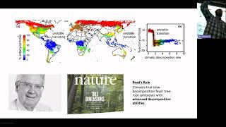 The latitudinal tree species diversity gradient [upl. by Gardal]