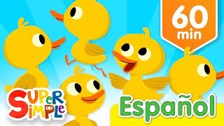 Cinco Patitos Y Más Canciones Infantiles  Música Para Niños [upl. by Ahtelahs]