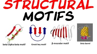 Structural motifs of protein [upl. by Eladnar]