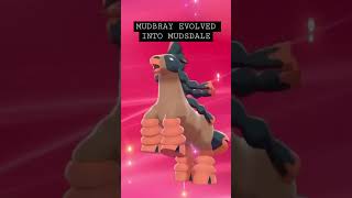 MUDBRAY EVOLVED INTO MUDSDALE POKEMON SHIELD [upl. by Nodnalb94]