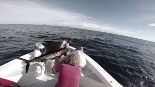 MADAGASCAR  JIGGING  SAILFISH  ANDREES EXPEDITIONS [upl. by Eivets525]