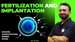 Fertilization and Implantation process  Explained In Hindi [upl. by Pan390]