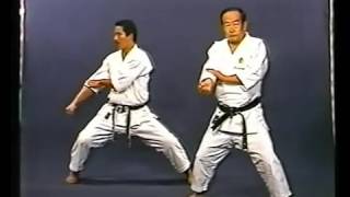 Tekki 3 Sandan JKA Kata amp Bunkai Sensei Imura [upl. by Alurta]