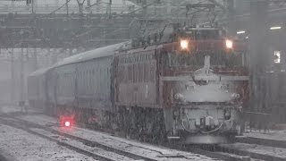 関東で大雪！各路線の動画まとめ （埼京線内、大宮駅にて） [upl. by Nalyac]