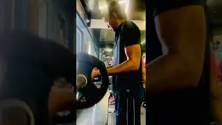 Build Bigger Biceps Barbell Curl 15kg [upl. by Cohl179]