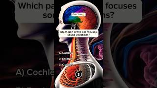 BIO special question ⁉️⁉️⁉️DepthGyan quiz biologyexamanatomybiologyshortsytshorts [upl. by Arabella]