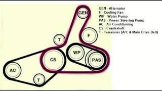 1999 VW Passat Serpentine Belt Replacement [upl. by Alejoa]