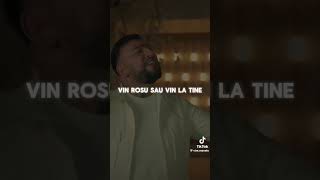 costel biju vin rosu sau vin la tinr [upl. by Roosnam]