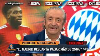 🚨 EXCLUSIVA JOSEP PEDREROL SOBRE DAVIES [upl. by Ynaffit]