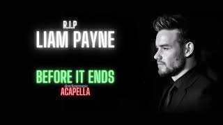 Liam Payne Before It Ends Acapella  Vocals Only [upl. by Taft483]