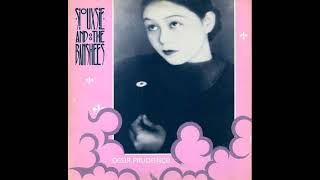 8D Siouxsie And The Banshees – Dear Prudence [upl. by Orsay318]