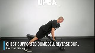 Chest Supported Dumbbell Reverse Curl  OPEX Exercise Library [upl. by Ecyrb763]