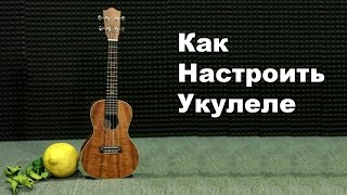 Как Настроить Укулеле  How To Tune A Ukulele [upl. by Einhorn300]