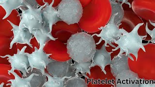 What is Platelet Activation and its Factors for Clot Formation [upl. by Cilo60]