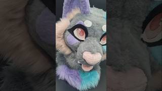 Before vs After fursuit edition furry fursuit fursuitmaker antizoo cosplay furr furries [upl. by Bartley]