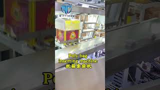 Poly Bag Folding Machine Manufacture Bag In Box Inserter [upl. by Ainek]