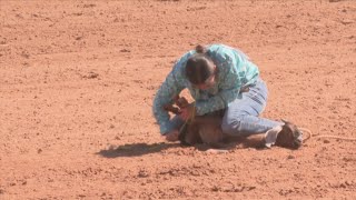 80th annual Cal Farleys Boys Ranch arrives this weekend [upl. by Lesab744]