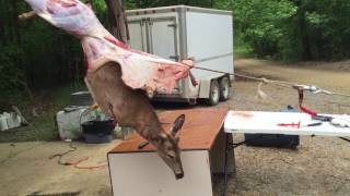 Skinning a deer with a winch 2 [upl. by Shelah]