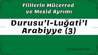 Mücerred ve Mezid Fiiller  Durusu’lLuğati’lArabiyye 3Cilt 16 Ders  Medine Arapça Hazırlık [upl. by Tiebold]