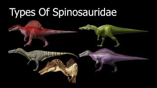 Types Of Spinosauridae [upl. by Kcim]