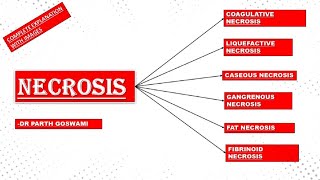 Necrosis  Types of Necrosis  Doodle animation  Made easy  Images [upl. by Jehovah168]