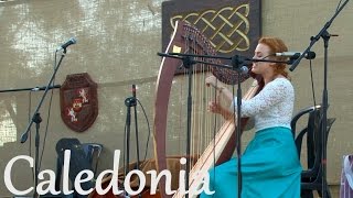 Caledonia Knysna Celtic Festival 2016 [upl. by Moss]