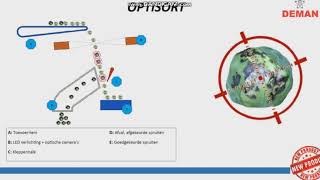 Burssels Sprouts Harvester Optisort self leveling module [upl. by Nawat]