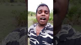 Tamil Trolls  Thalapathy Leo NAAN READY SONG Funny RAP Version  Virat Kohliah Vela Senja [upl. by Aehsrop]