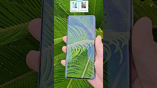 iQOO Z9s 5G⚡️120 Hz 3D Curved AMOLED Display⚡️Dimesity 7300 5G Processor shorts iqooz9s [upl. by Simaj]